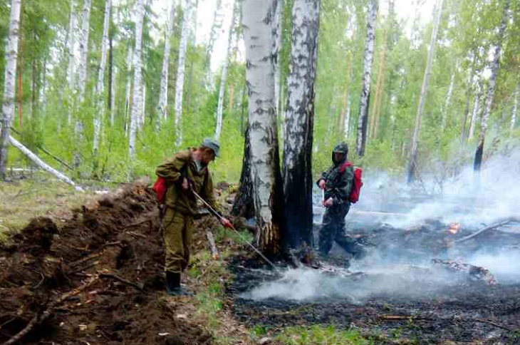 641 гектар леса горит в Иркутской области