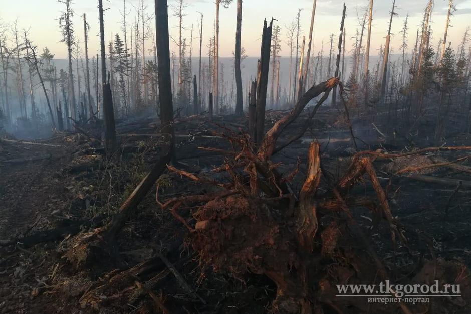 В Усть-Кутском районе продолжается локализация самого большого лесного пожара