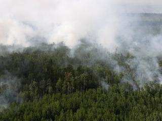 На утро субботы в Иркутской области действует 18 лесных пожаров