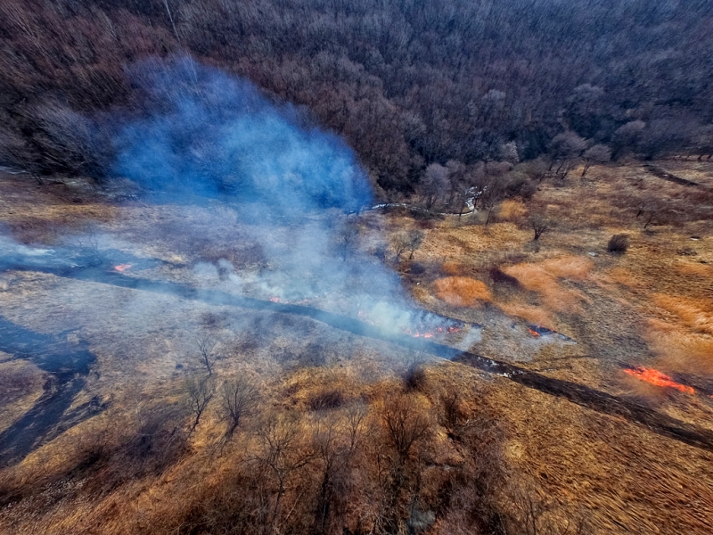 Финансирование подверженной лесным пожарам Иркутской области увеличится с 2018 года