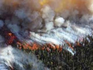 В Иркутской области действует 17 лесных пожаров