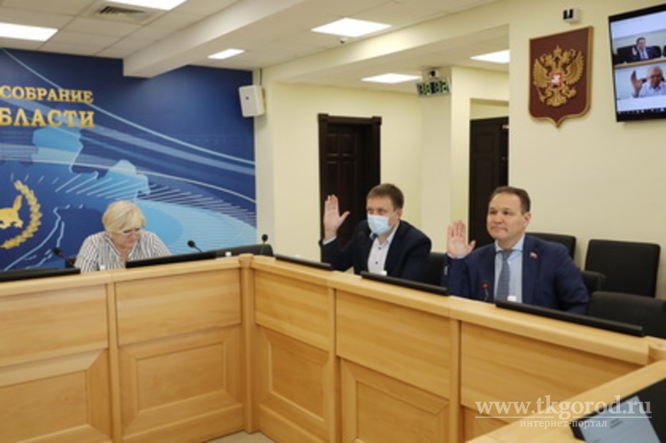 Ряд законопроектов о поддержке семей с детьми рассмотрели на заседании комитета по здравоохранению и социальной защите Иркутской области