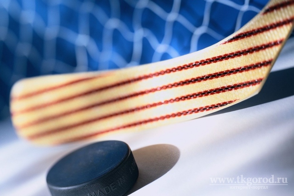 В Приангарье закупается оборудование для хоккея с шайбой на сумму более 16,2 миллионов рублей