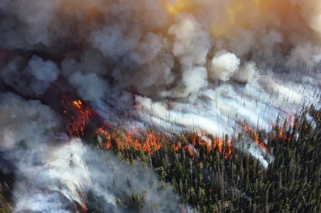 25 пожаров горят в лесах Иркутской области
