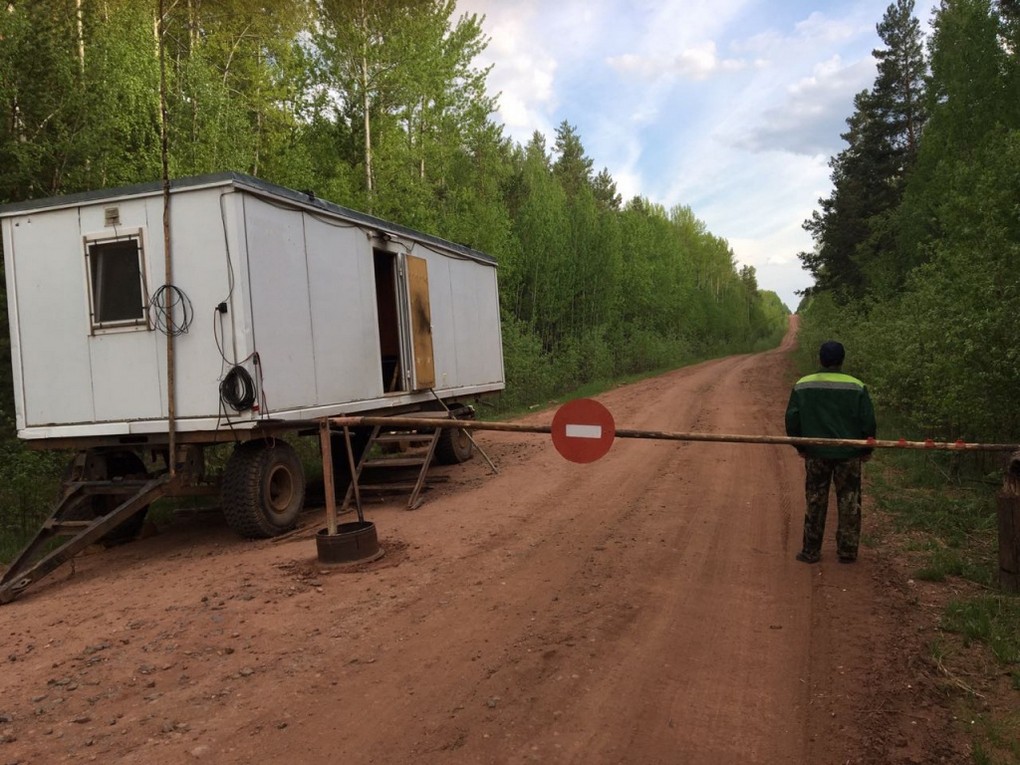 Особый противопожарный режим в Иркутской области продлили до 15 июля