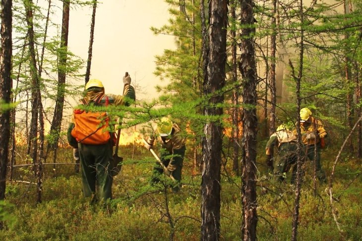 Площадь лесных пожаров в Иркутской области увеличилась на 1644 гектара