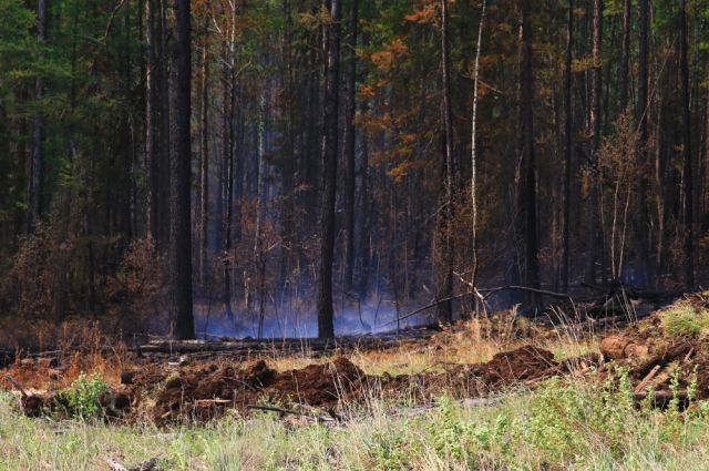 Десантник погиб во время тушения пожара в лесу Иркутской области