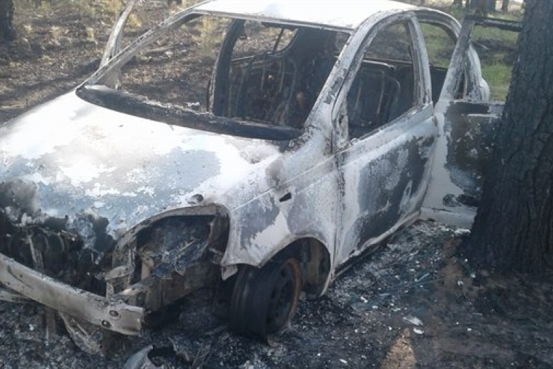 Владелец сгоревшего авто ответит в суде за лесной пожар в Тулуне Иркутской области