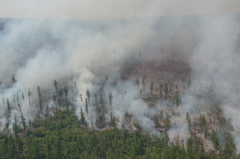 72 лесных пожара действует в Иркутской области