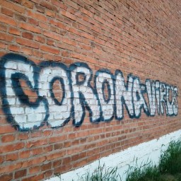 В Иркутской области за сутки коронавирус нашли у 239 человек