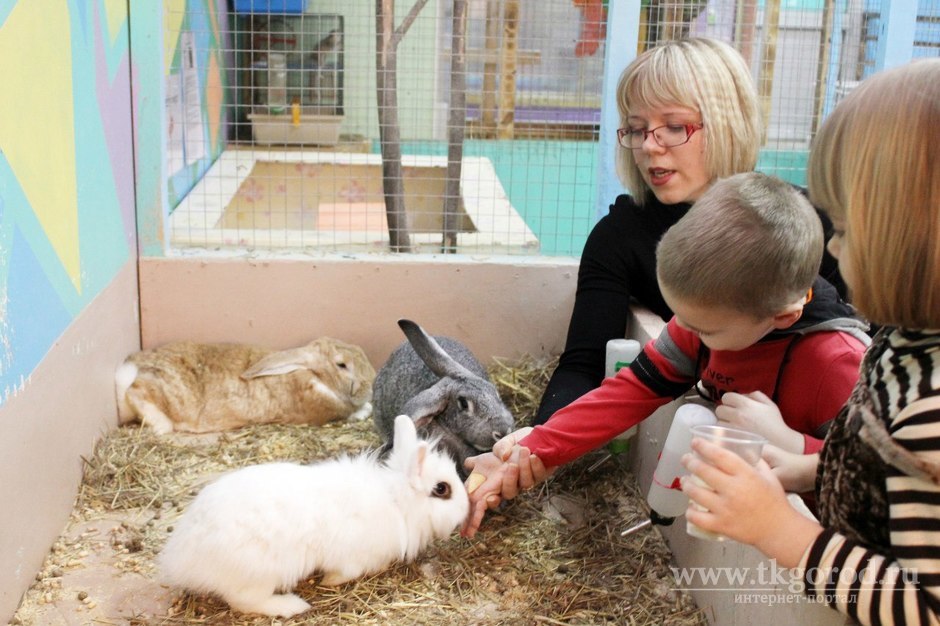 В Иркутской области разрешили работу зоопарков и зоогалерей