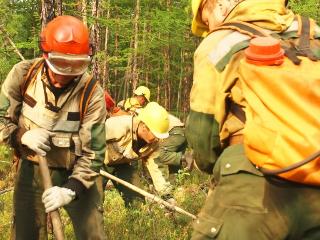 В Иркутской области действует 60 пожаров на площади 45,4 тысяч га