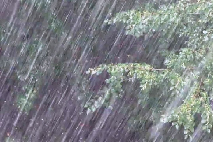 Cильные дожди и грозы ожидаются в Иркутской области с 7 июля