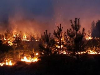 В Казачинско-Ленском районе из-за лесных пожаров введен режим ЧС