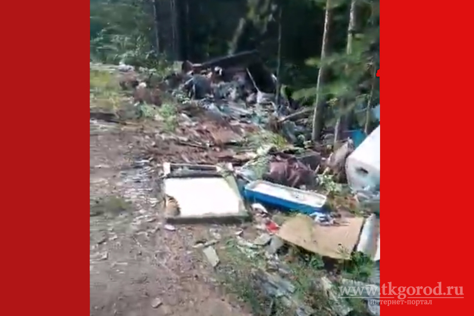 Братчане обнаружили большую свалку с бытовым мусором возле недалеко от строящегося детского сада