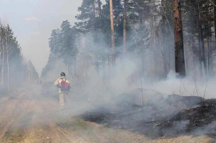 МЧС предупредило о задымлении от лесных пожаров в пяти районах Иркутской области