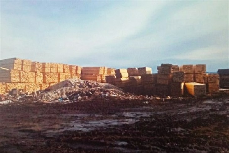 В Качугском районе осудят 12 жителей за рубку леса на три миллиона рублей