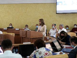 В Думе Иркутска обсудили проект застройки Цесовской набережной