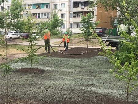 В Иркутске на общественных пространствах применяют технологию гидропосева газона
