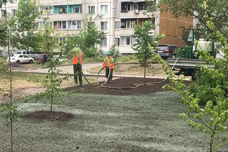 Технологию гидропосева применяют на газонах в Иркутске