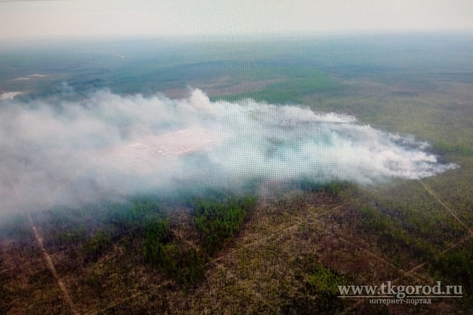 За минувшие сутки в лесном фонде на территории Иркутской области ликвидировано 15 пожаров
