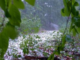 Дожди и ливни в Приангарье могут привести к повторению прошлогоднего наводнения