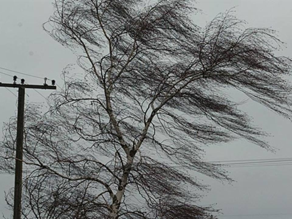 Ветер и сильные дожди обещают синоптики жителям Приангарья в воскресенье
