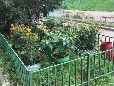 В Ленинском округе объявили о проведении конкурса «Цветы у дома»
