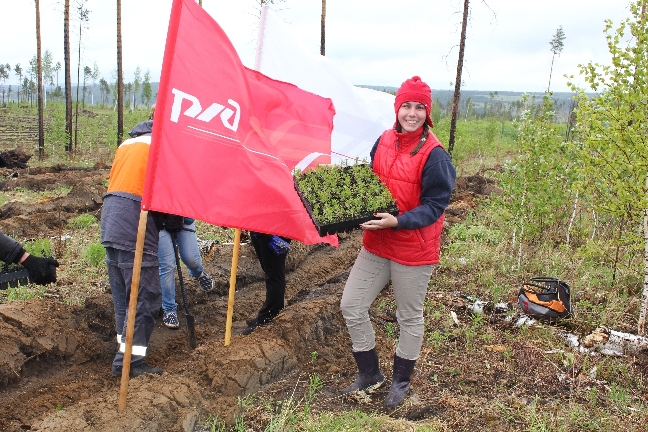 Новые деревья садили работники ВСЖД на акции «Посади дерево»