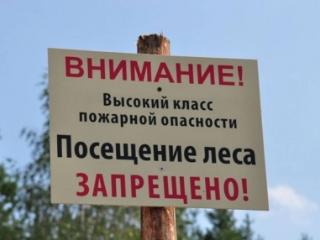 Высокие классы пожарной опасности ожидаются в Иркутской области