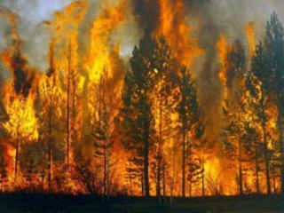 В Иркутской области действуют три лесных пожара