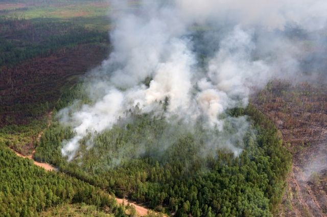 Три лесных пожара действуют в Иркутской области