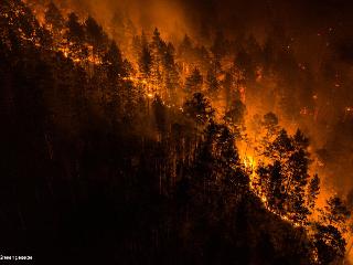 Площадь лесных пожаров в Иркутской области по сравнению с прошлым годом сократилась почти в десять раз