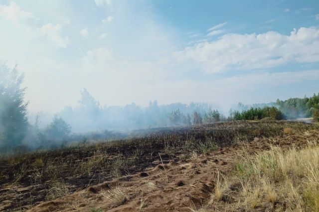 Четыре лесных пожара действуют в Иркутской области
