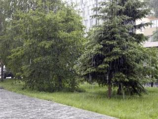 Дожди с грозами прогнозируют в Приангарье