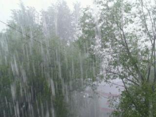 В горах Южного Прибайкалья и Восточного Саяна очень сильные дожди, ливни и грозы