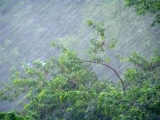 Сильные и очень сильные дожди ожидаются в большинстве районов Иркутской области