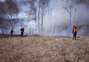 За прошедшие сутки в лесном фонде Иркутской области ликвидирован один пожар