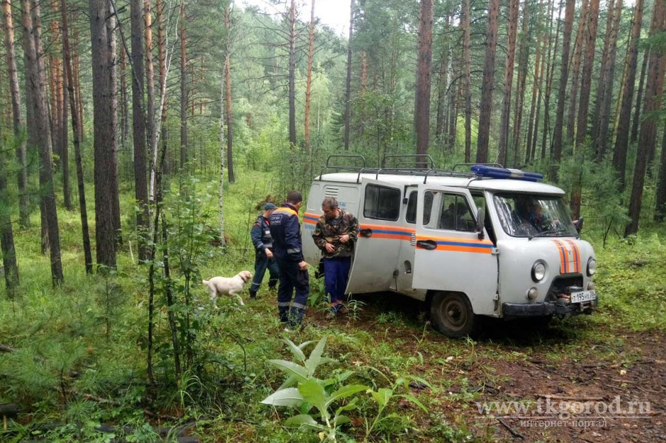 Грибники, заблудившиеся в лесу в Тайшетском районе, найдены