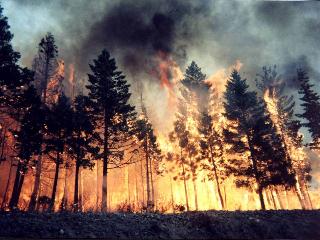 В Приангарье ликвидируют девять лесных пожаров