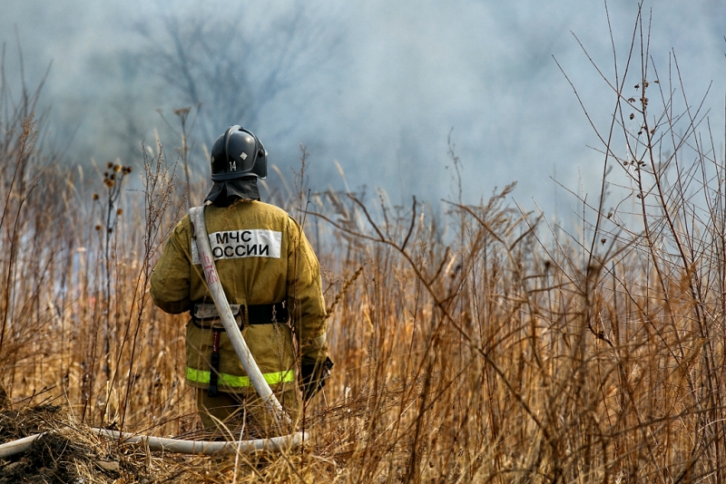 Один лесной пожар продолжают тушить на землях лесного фонда в Иркутской области