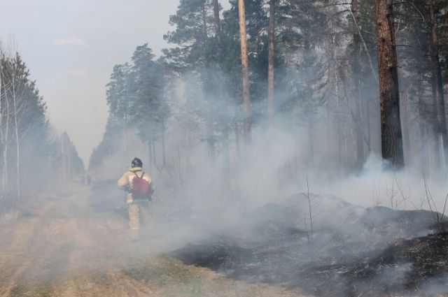 МЧС Иркутской области предупреждает о высокой пожароопасности в лесах