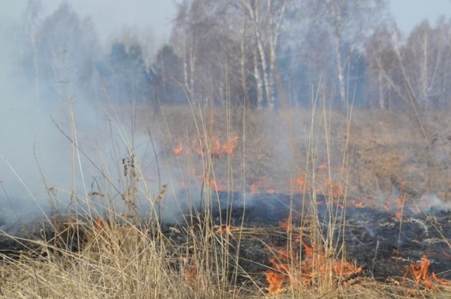 18 лесных пожаров действует в Иркутской области