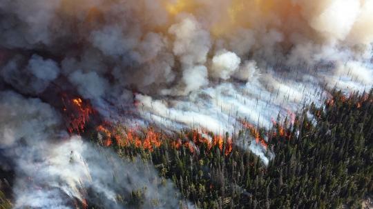 Леса Катангского района продолжают гореть