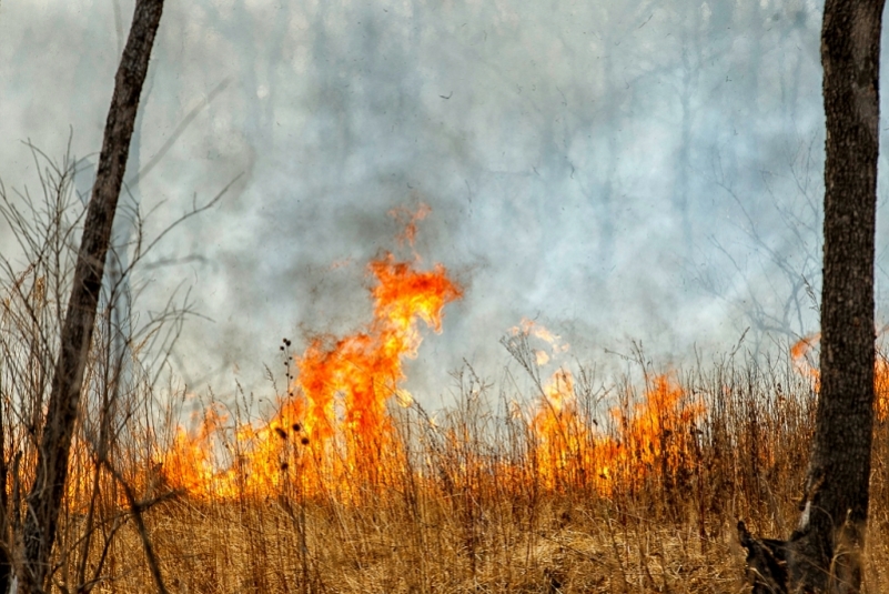 15 природных пожаров на площади более 2 тысяч га действует в Иркутской области