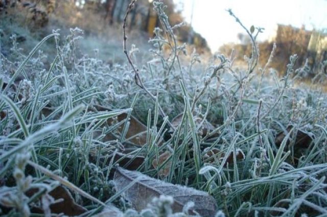 Первые заморозки ожидаются в северных районах Иркутской области