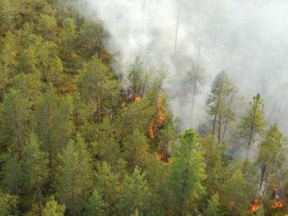 Тридцатипятиградусная жара угрожает Приангарью новыми лесными пожарами