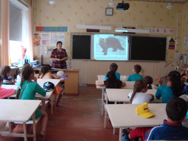 Ученики школы №14 в Тайшете отправились в слайд-путешествие «Заповедный дивный край»