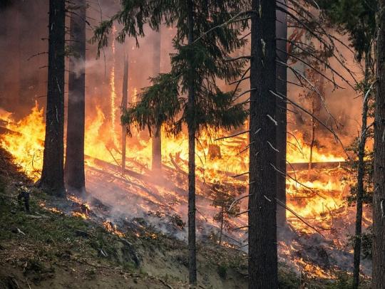 Хорошая погода в Иркутской области приводит к пожарам в лесах