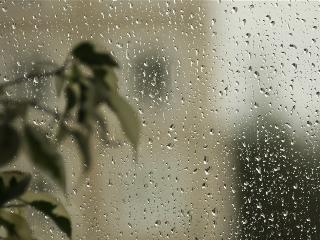 Дождь с ветром ожидается в Иркутске в воскресенье